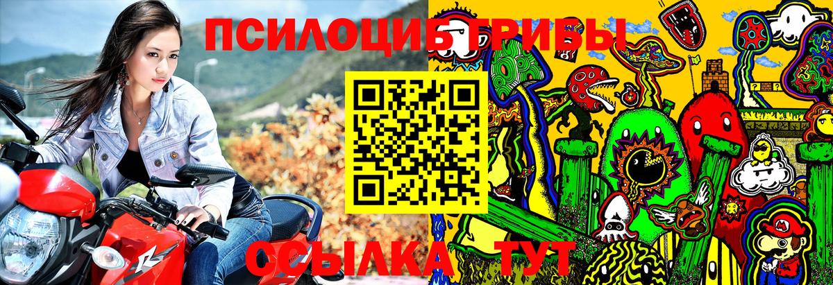 Галлюциногенные грибы ЛСД  Вход с VPN  Россия  Псилоцибиновые грибы Cubensis 